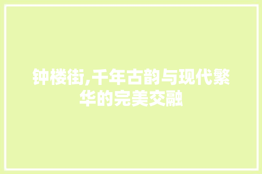 钟楼街,千年古韵与现代繁华的完美交融