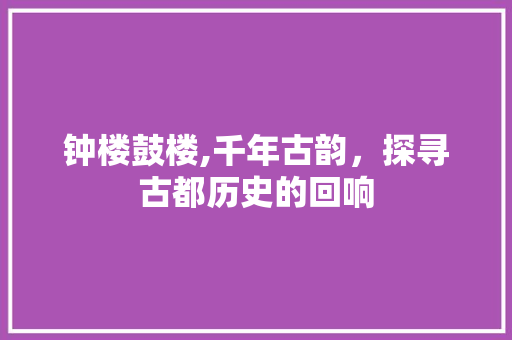 钟楼鼓楼,千年古韵，探寻古都历史的回响