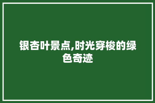 银杏叶景点,时光穿梭的绿色奇迹