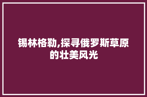 锡林格勒,探寻俄罗斯草原的壮美风光  第1张