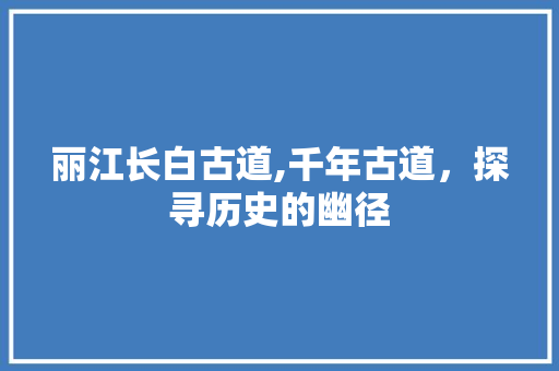 丽江长白古道,千年古道，探寻历史的幽径  第1张