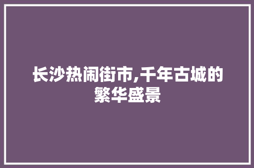 长沙热闹街市,千年古城的繁华盛景