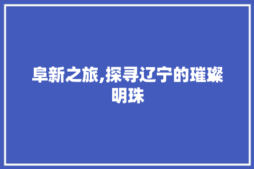 阜新之旅,探寻辽宁的璀璨明珠