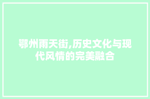 鄂州雨天街,历史文化与现代风情的完美融合  第1张