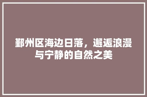 鄞州区海边日落，邂逅浪漫与宁静的自然之美  第1张