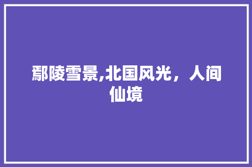 鄢陵雪景,北国风光，人间仙境