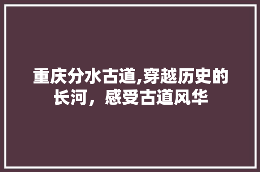 重庆分水古道,穿越历史的长河，感受古道风华