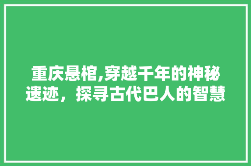 重庆悬棺,穿越千年的神秘遗迹，探寻古代巴人的智慧之光