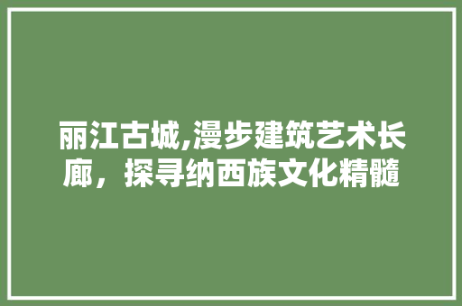 丽江古城,漫步建筑艺术长廊，探寻纳西族文化精髓