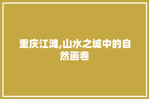 重庆江滩,山水之城中的自然画卷  第1张