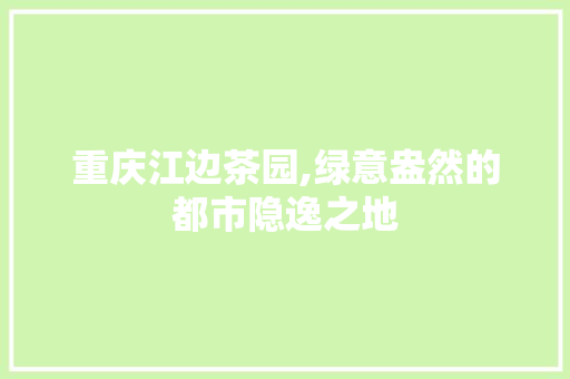 重庆江边茶园,绿意盎然的都市隐逸之地