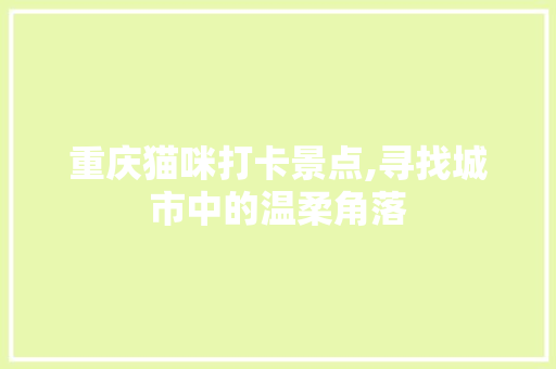重庆猫咪打卡景点,寻找城市中的温柔角落  第1张