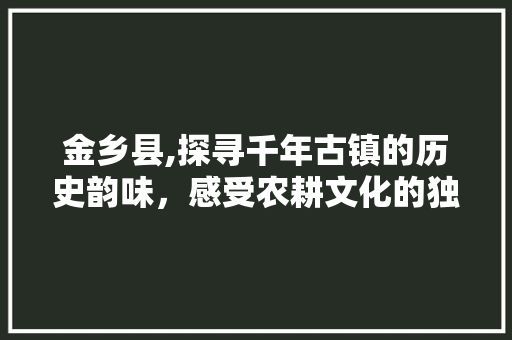 金乡县,探寻千年古镇的历史韵味，感受农耕文化的独特魅力