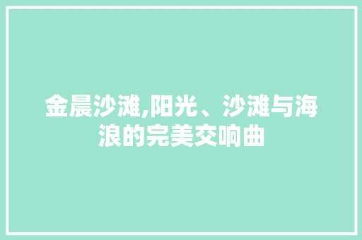 金晨沙滩,阳光、沙滩与海浪的完美交响曲