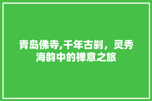 青岛佛寺,千年古刹，灵秀海韵中的禅意之旅