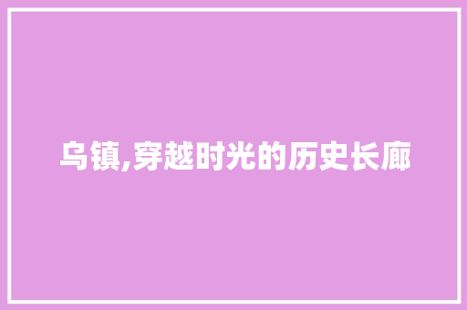 乌镇,穿越时光的历史长廊