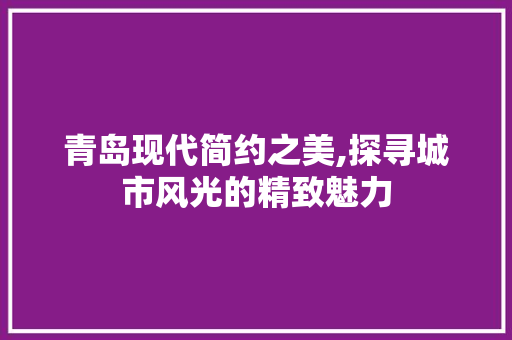 青岛现代简约之美,探寻城市风光的精致魅力