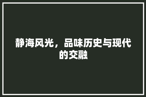 静海风光，品味历史与现代的交融