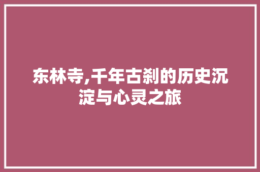 东林寺,千年古刹的历史沉淀与心灵之旅  第1张