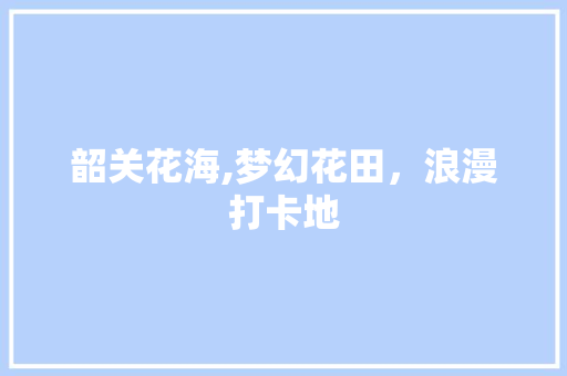 韶关花海,梦幻花田，浪漫打卡地
