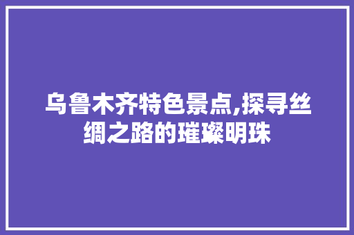 乌鲁木齐特色景点,探寻丝绸之路的璀璨明珠  第1张