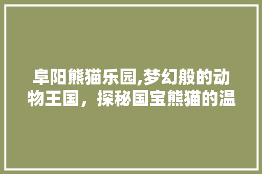 阜阳熊猫乐园,梦幻般的动物王国，探秘国宝熊猫的温馨家园  第1张