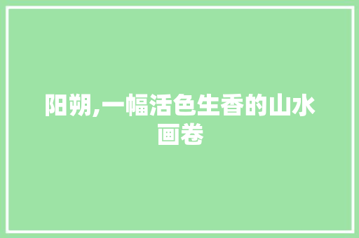 阳朔,一幅活色生香的山水画卷