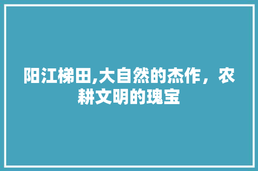 阳江梯田,大自然的杰作，农耕文明的瑰宝