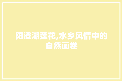 阳澄湖莲花,水乡风情中的自然画卷
