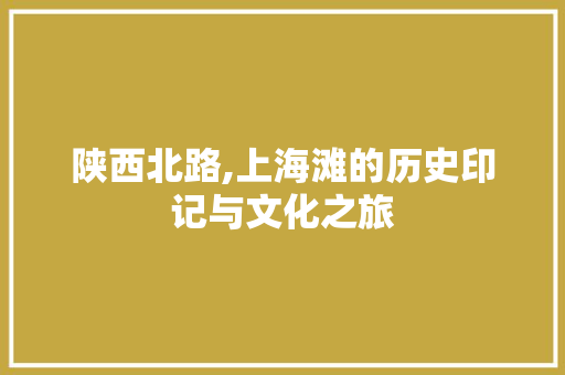 陕西北路,上海滩的历史印记与文化之旅