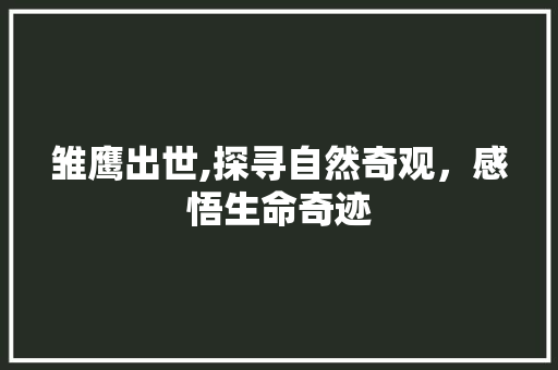 雏鹰出世,探寻自然奇观，感悟生命奇迹