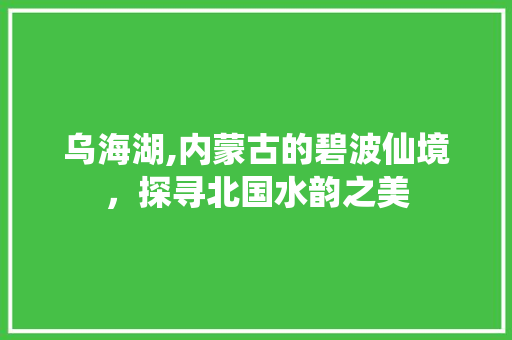 乌海湖,内蒙古的碧波仙境，探寻北国水韵之美