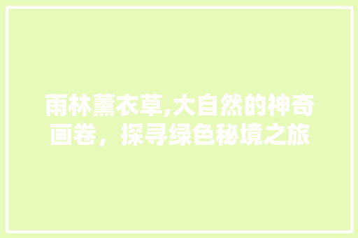 雨林薰衣草,大自然的神奇画卷，探寻绿色秘境之旅