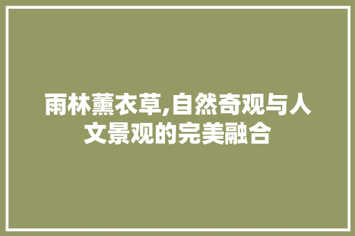 雨林薰衣草,自然奇观与人文景观的完美融合