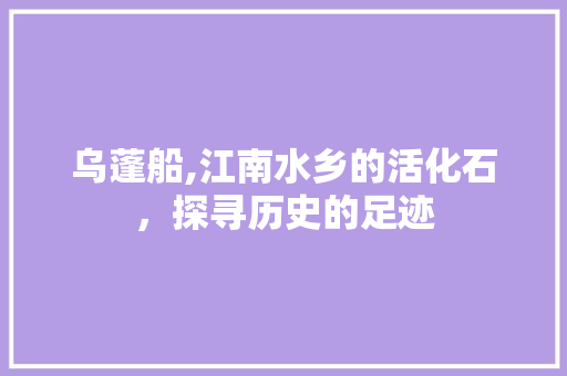 乌蓬船,江南水乡的活化石，探寻历史的足迹  第1张