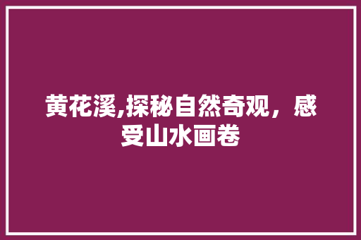 黄花溪,探秘自然奇观，感受山水画卷