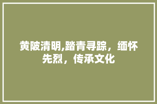 黄陂清明,踏青寻踪，缅怀先烈，传承文化