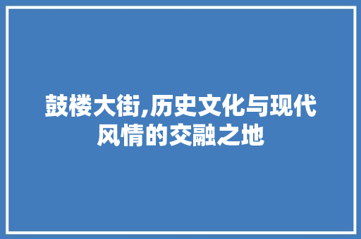 鼓楼大街,历史文化与现代风情的交融之地