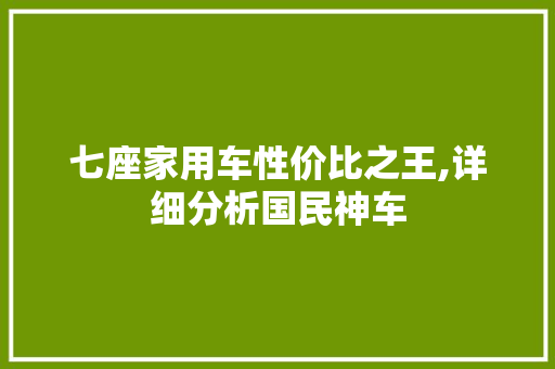 七座家用车性价比之王,详细分析国民神车