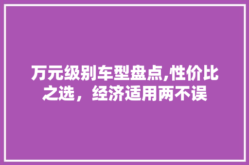 万元级别车型盘点,性价比之选，经济适用两不误