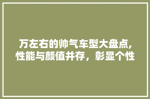 万左右的帅气车型大盘点,性能与颜值并存，彰显个性魅力