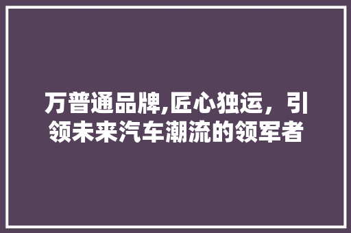 万普通品牌,匠心独运，引领未来汽车潮流的领军者