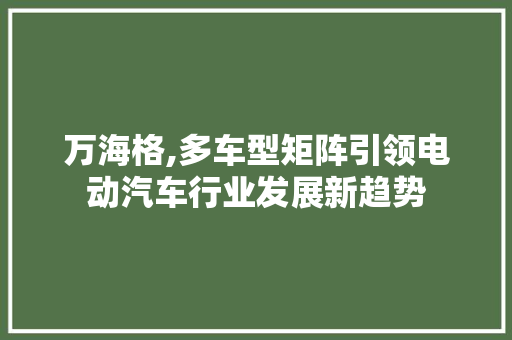 万海格,多车型矩阵引领电动汽车行业发展新趋势  第1张