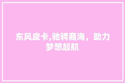 东风皮卡,驰骋商海，助力梦想起航
