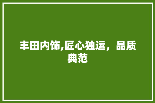 丰田内饰,匠心独运，品质典范
