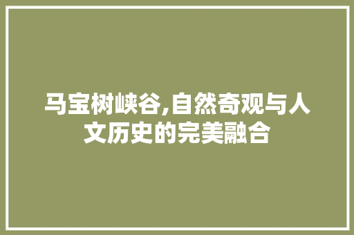 马宝树峡谷,自然奇观与人文历史的完美融合