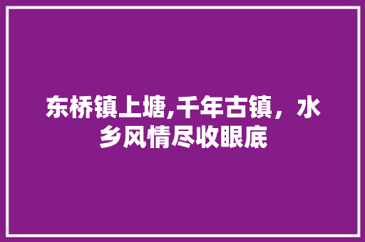东桥镇上塘,千年古镇，水乡风情尽收眼底  第1张
