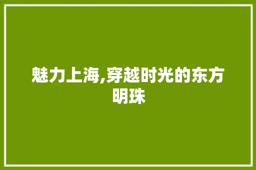 魅力上海,穿越时光的东方明珠  第1张