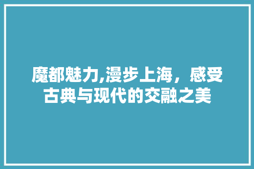 魔都魅力,漫步上海，感受古典与现代的交融之美  第1张