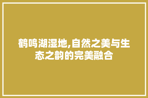 鹤鸣湖湿地,自然之美与生态之韵的完美融合